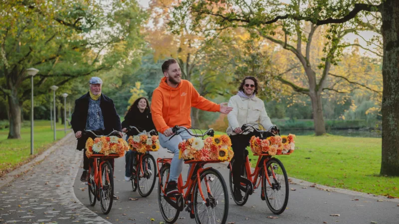 Bike Tours Amsterdam
